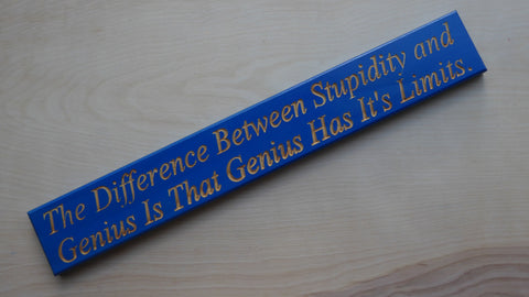 The Difference Between Stupidity and Genius Is That Genius Has It's Limits