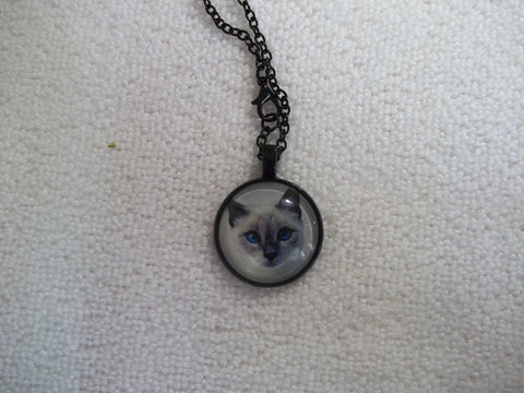 Bubble Pendant Cat Necklace (N1150)