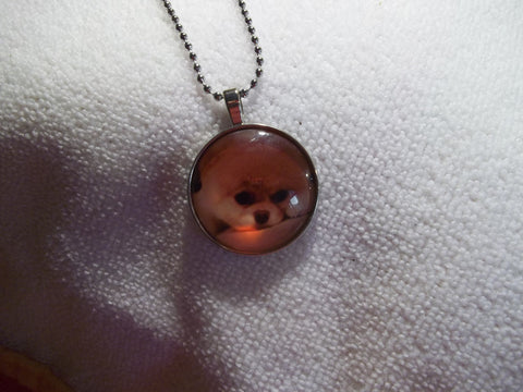 Silver Ball Chain Bubble Pomeranian Dog Necklace (N702)